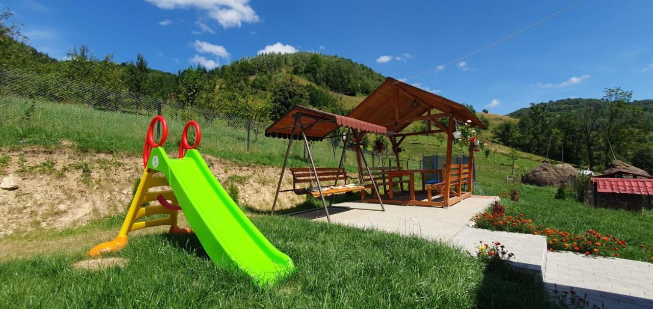 Pensiunea Apuseni Vidra  Buitenkant foto