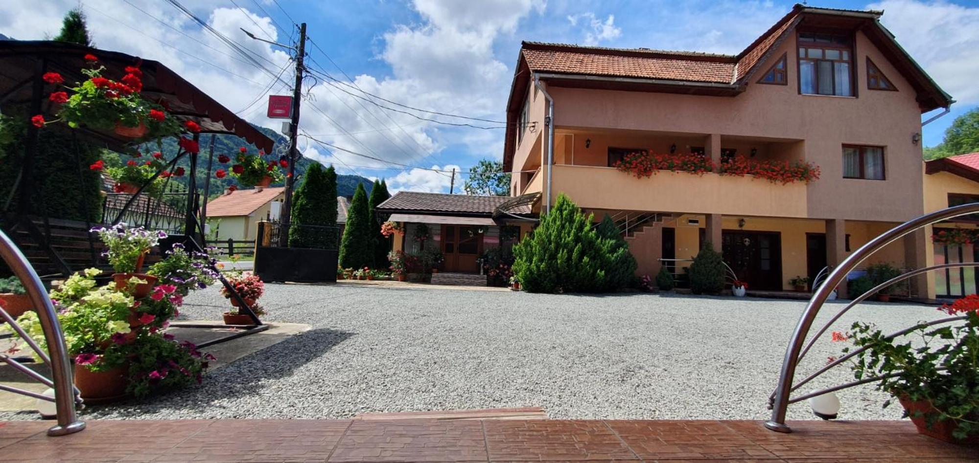 Pensiunea Apuseni Vidra  Buitenkant foto