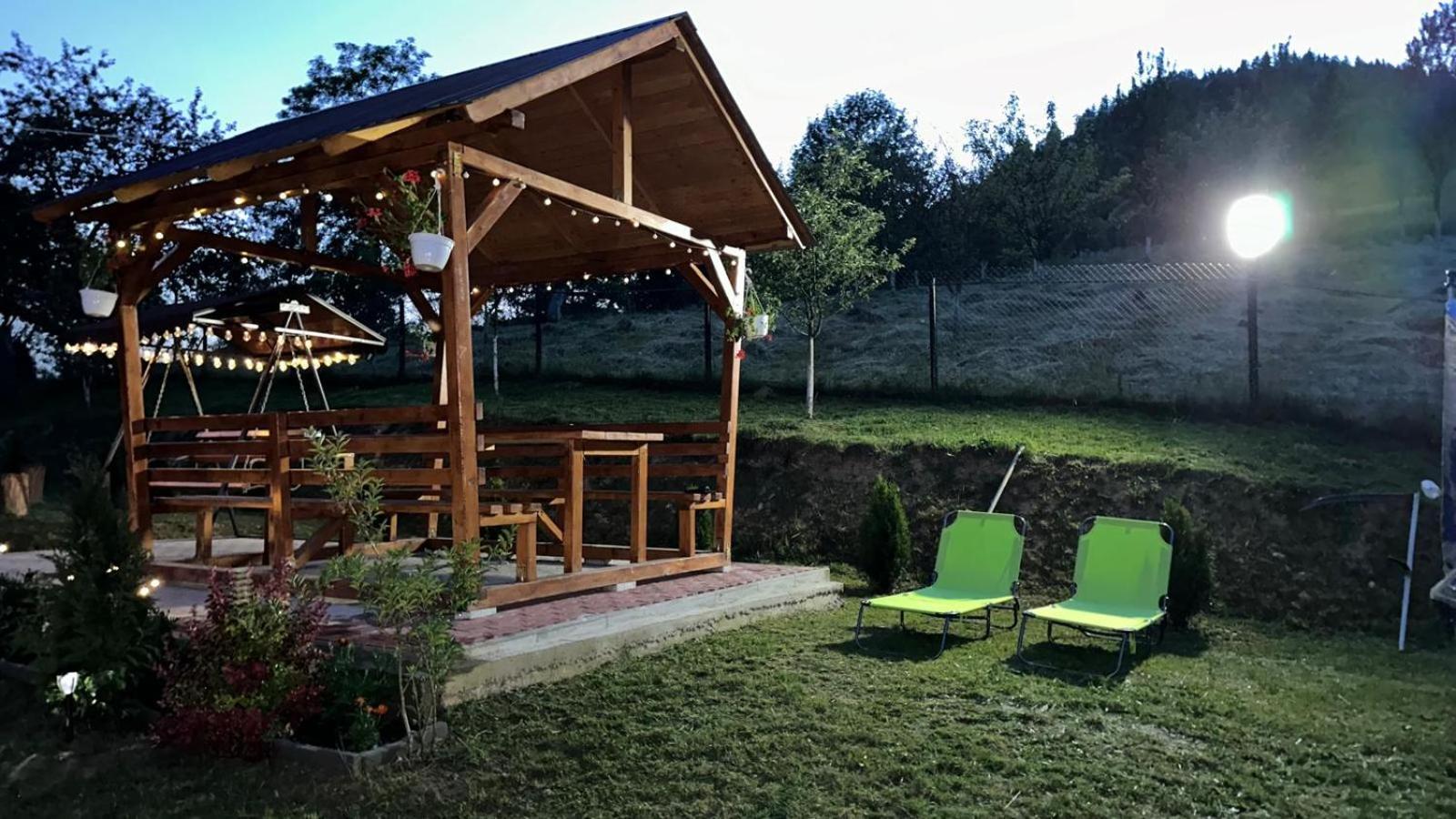Pensiunea Apuseni Vidra  Buitenkant foto