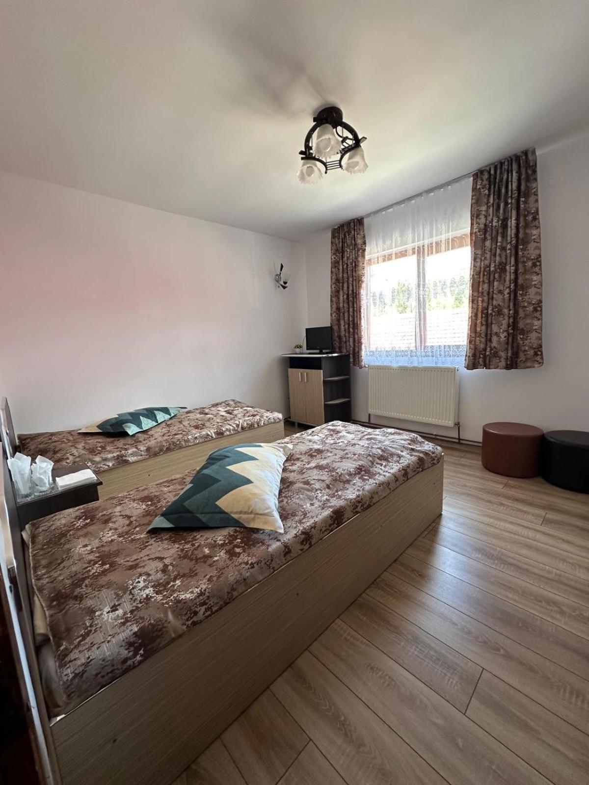Pensiunea Apuseni Vidra  Buitenkant foto
