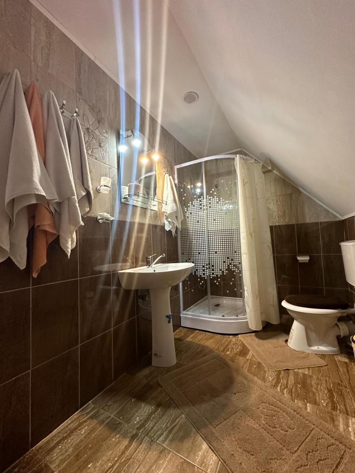 Pensiunea Apuseni Vidra  Buitenkant foto